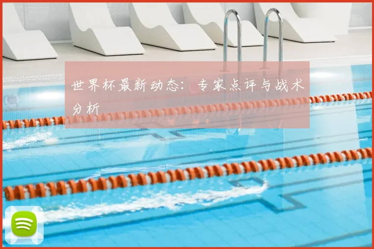 世界杯最新动态:专家点评与战术分析